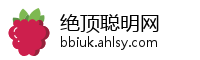 绝顶聪明网